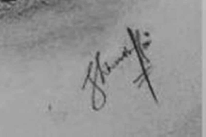 Shivanshu Soni signature