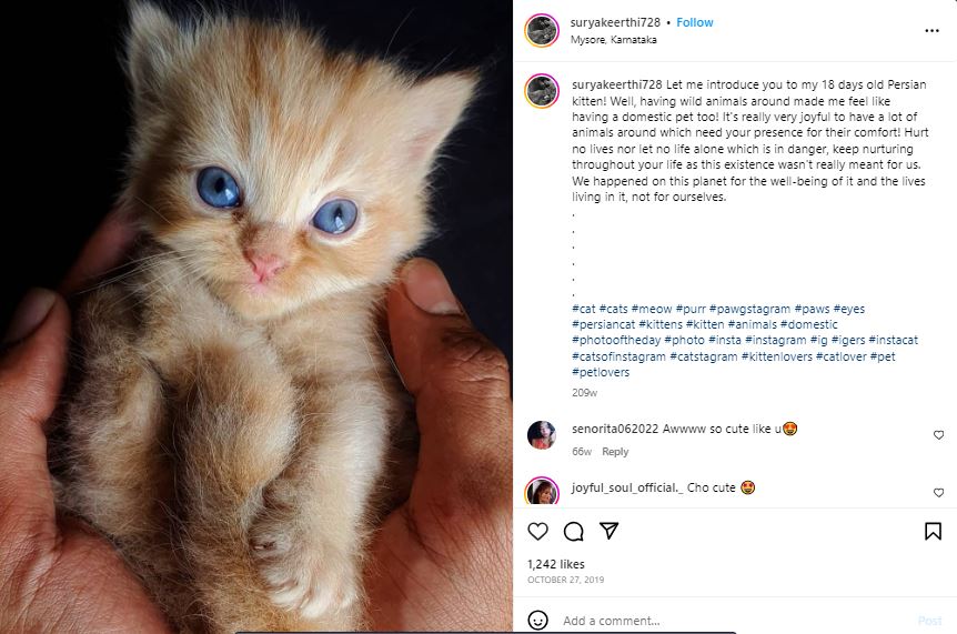 Surya Keerthi talking about his pet cat in an Instagram post