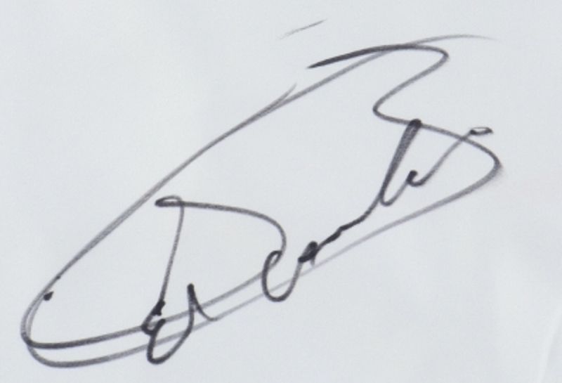 Canelo Alvarez's signature