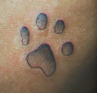 Siddharth Mallya's dog paw tattoo on his left arm