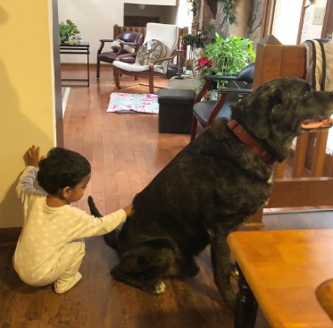 Vineeth Sreenivasan's son with their pet dog