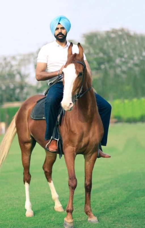 Davy Grewal while riding horse
