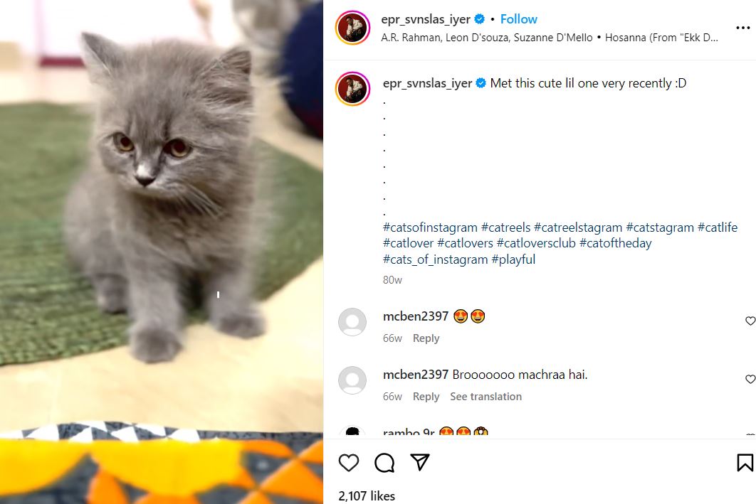 EPR Iyer's Instagram post about a cat