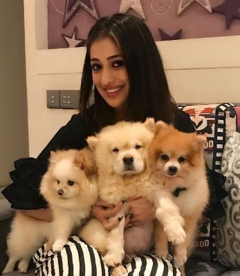 Raai Laxmi with her pets
