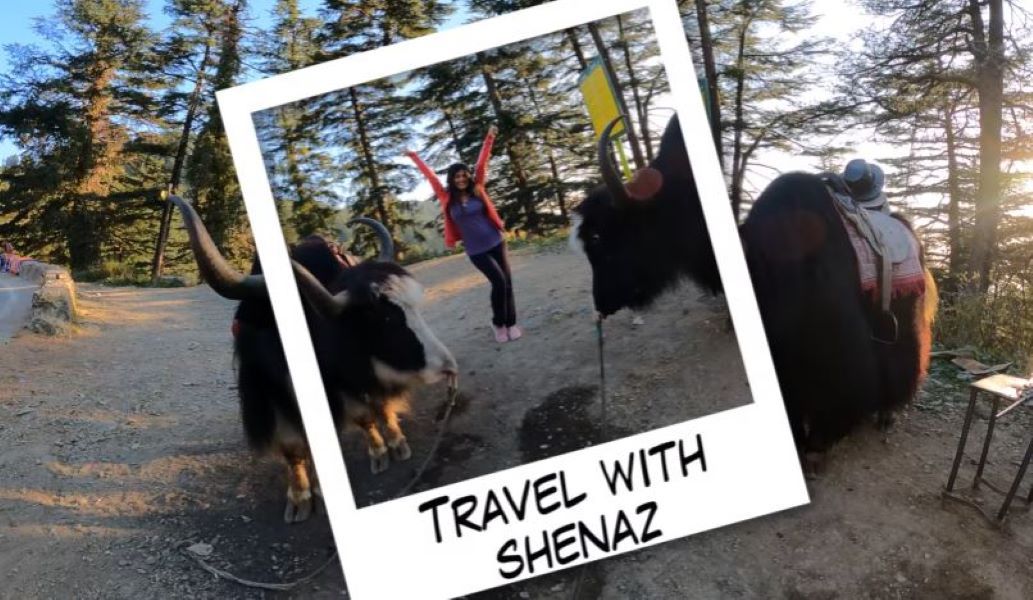 Shenaz Treasury in a still from Travel With Shenaz