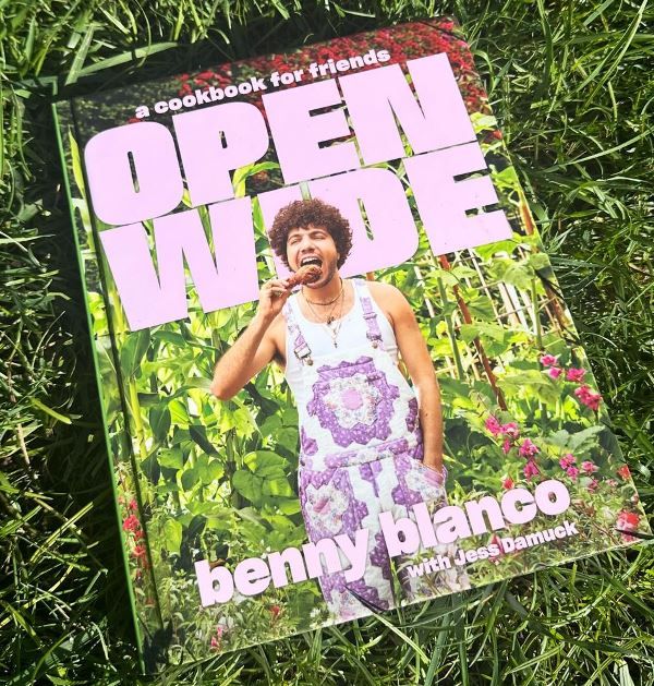 Benny Blanco's book 'Open Wide'