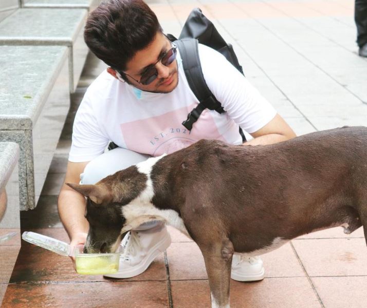 Karan Sharma feeding a dog