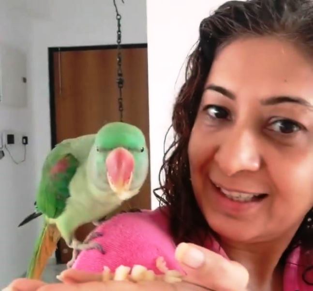 Paayal Kapoor Nair with her parrot Mithu