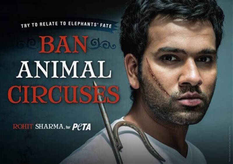 Rohit Sharma campaigning for PETA