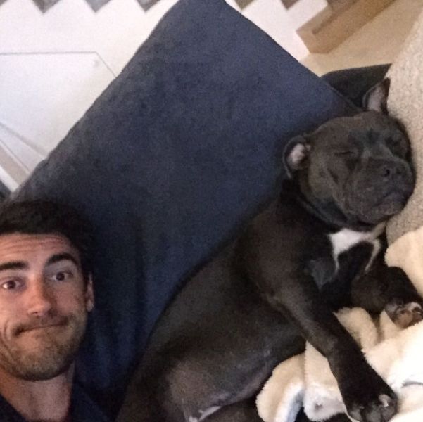 Mitchell Starc with his pet dog